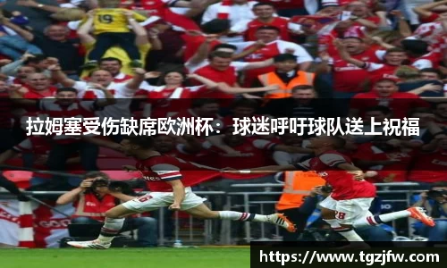 拉姆塞受伤缺席欧洲杯：球迷呼吁球队送上祝福