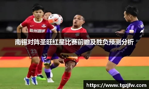 南锡对阵圣旺红星比赛前瞻及胜负预测分析