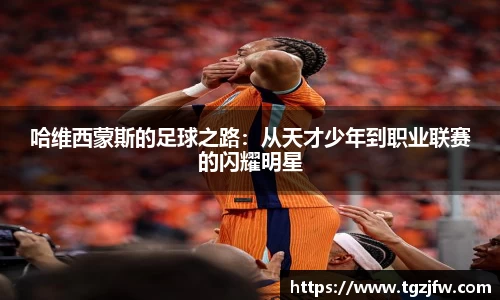 wm365完美体育官方网站