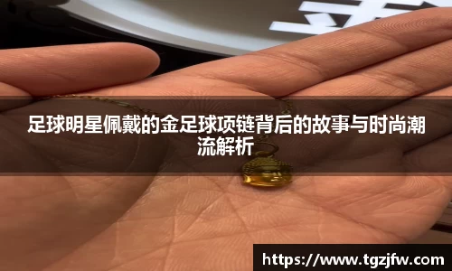 wm365完美体育官方网站