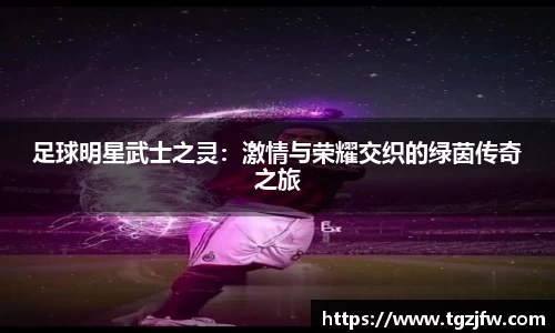 足球明星武士之灵：激情与荣耀交织的绿茵传奇之旅